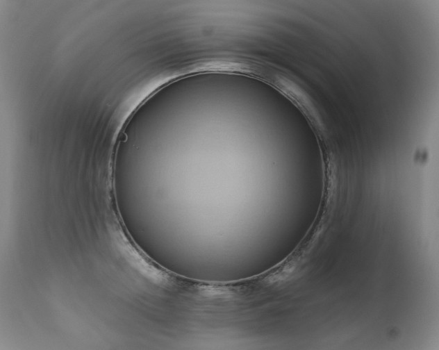 X0000110970852200906191333