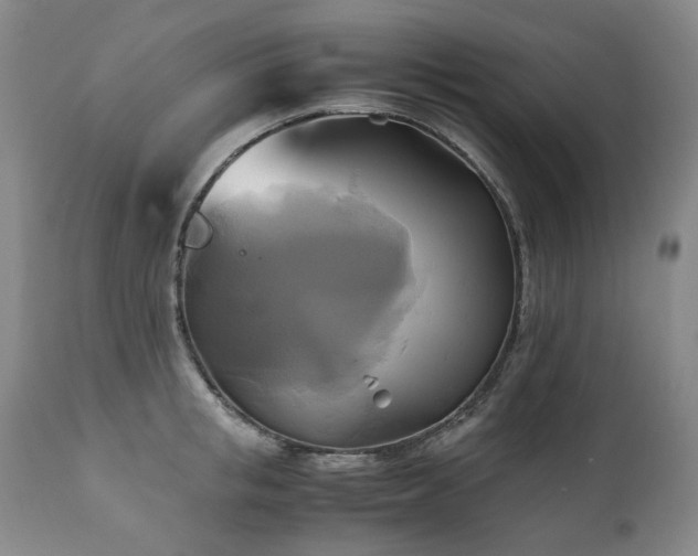 X0000110970853200906191333