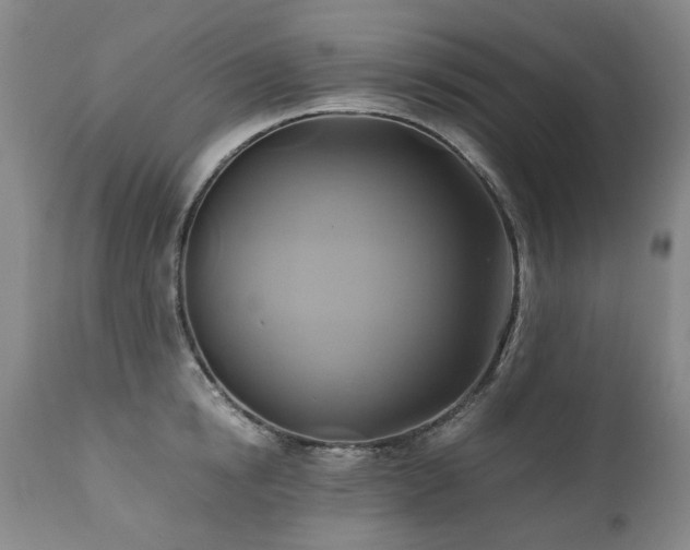 X0000110970854200906191333