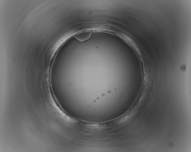 X0000110970855200906191333