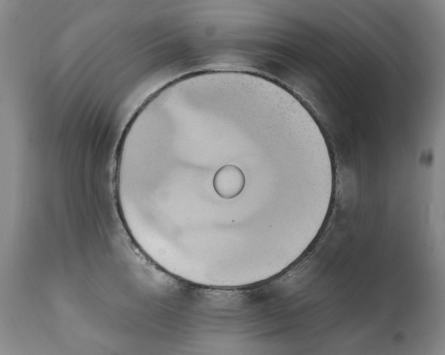 X0000110970856200906191333