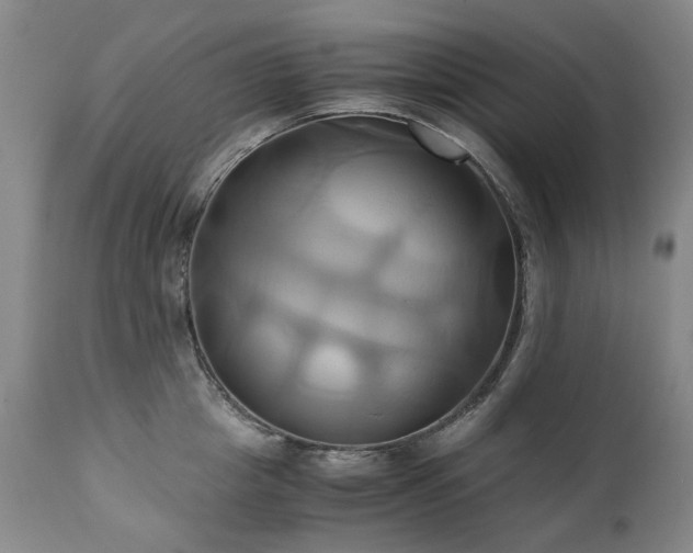 X0000110970857200906191333