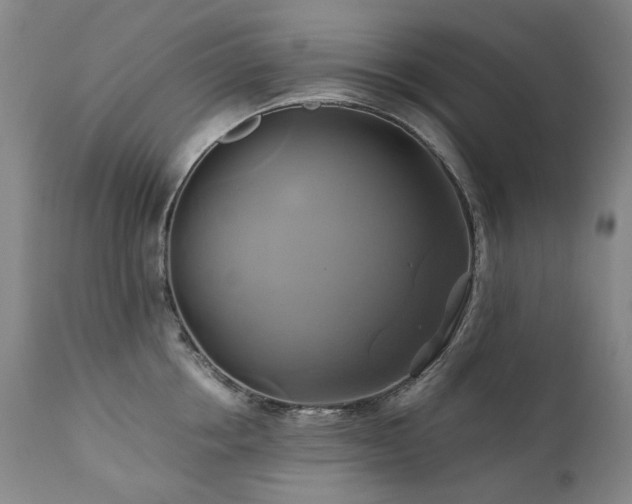 X0000110970858200906191333