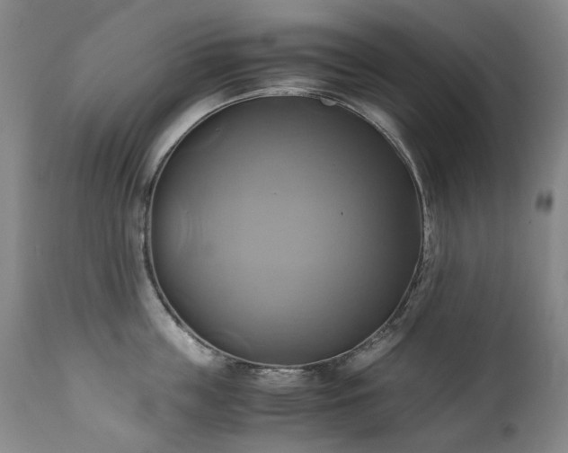 X0000110970859200906191333