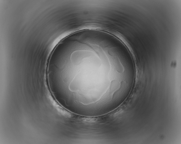 X0000110970861200906191333