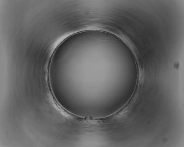 X0000110970862200906191334