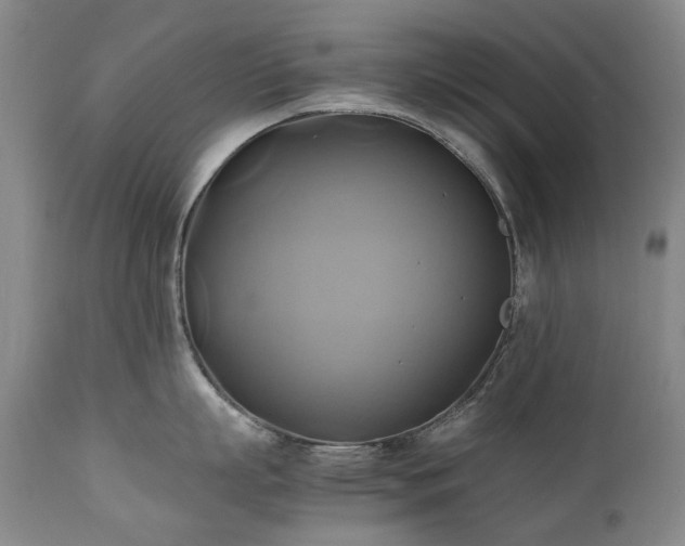 X0000110970863200906191334