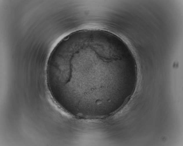 X0000110970864200906191334