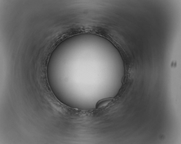 X0000110970865200906191333