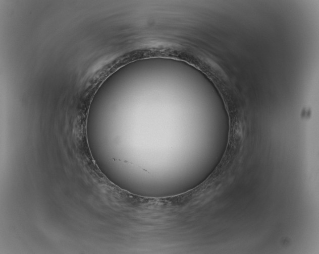 X0000110970869200906191333