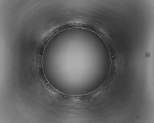 X0000110970870200906191333