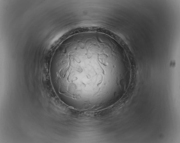 X0000110970871200906191333