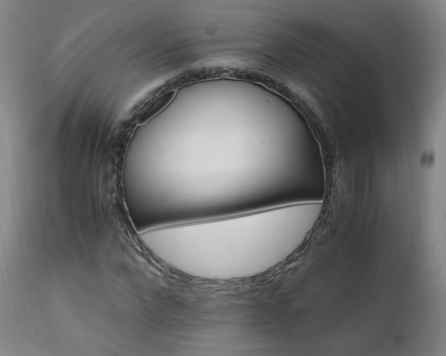 X0000110970872200906191333