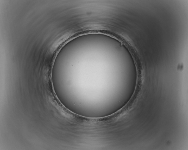 X0000110970873200906191333