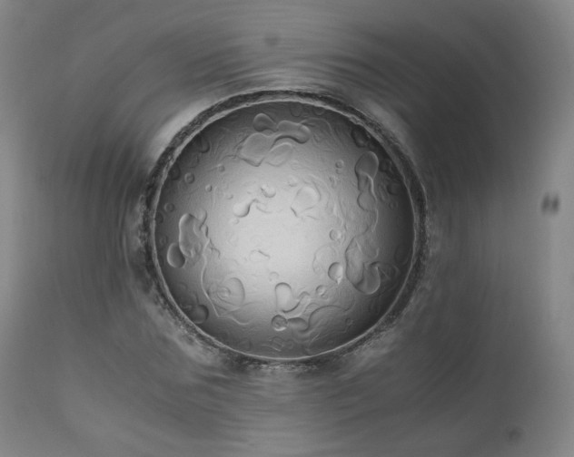 X0000110970875200906191333