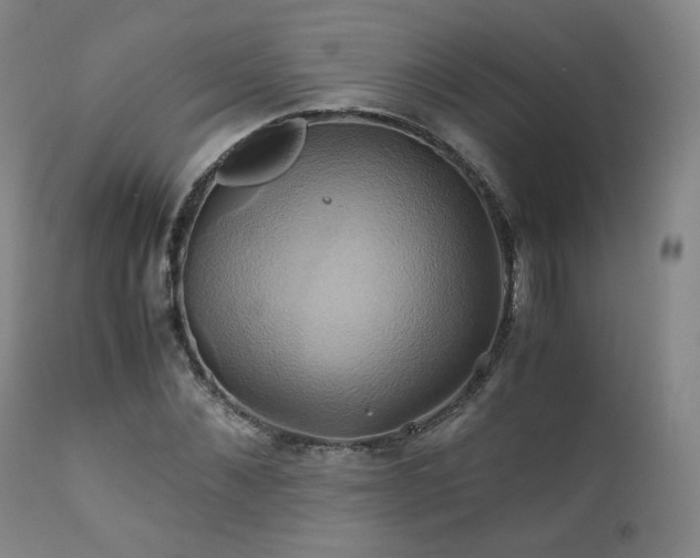 X0000110970876200906191333