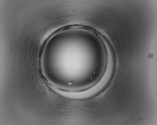 X0000110970877200906191333