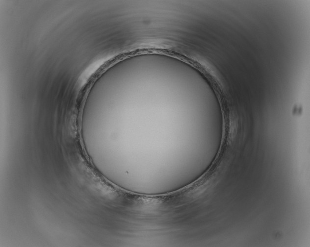 X0000110970878200906191333