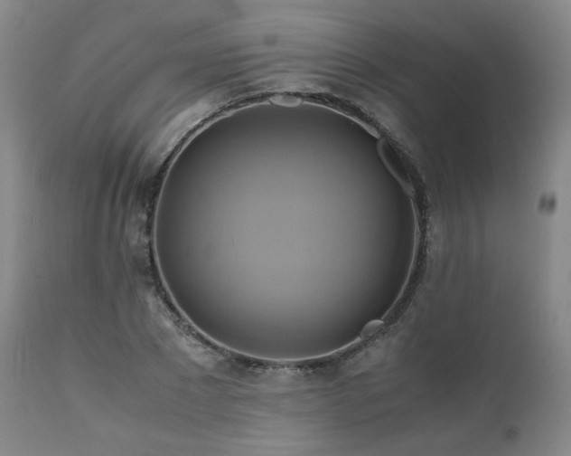 X0000110970881200906191332