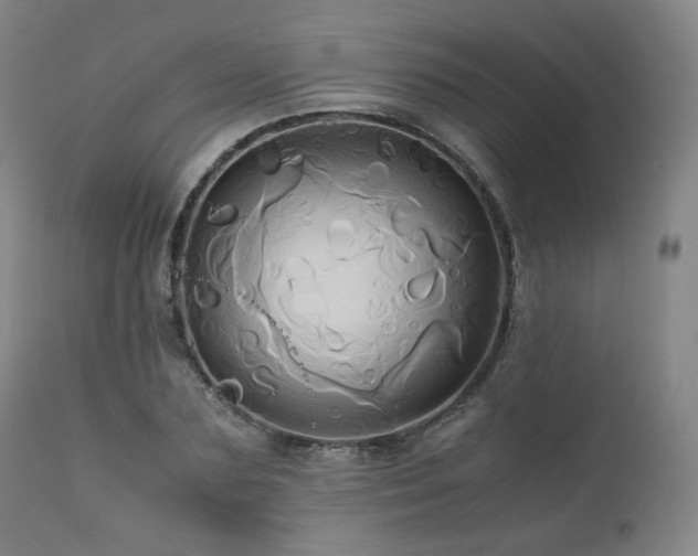 X0000110970883200906191332