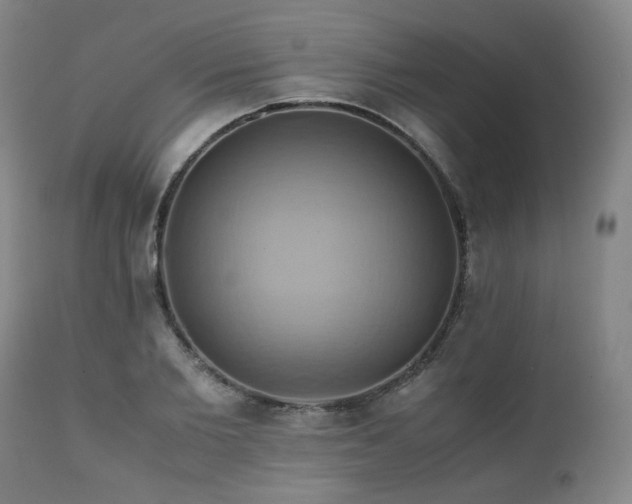 X0000110970885200906191332