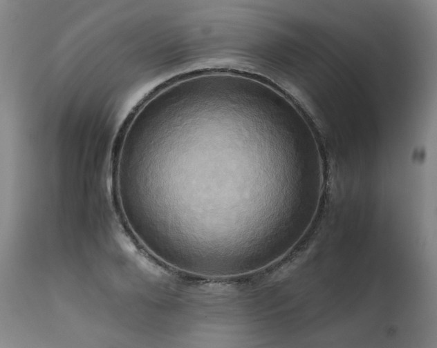 X0000110970888200906191332