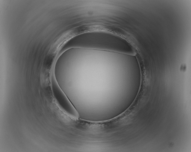 X0000110970889200906191332