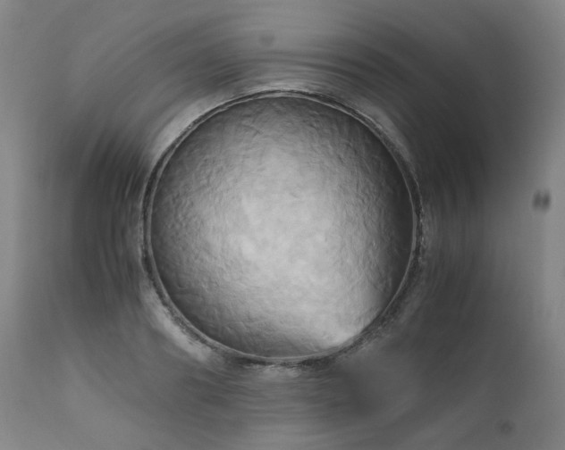 X0000110970890200906191332