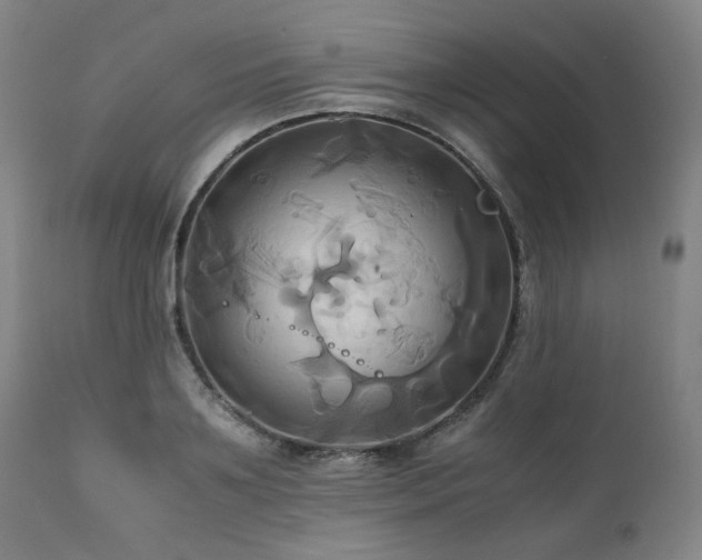 X0000110970891200906191332