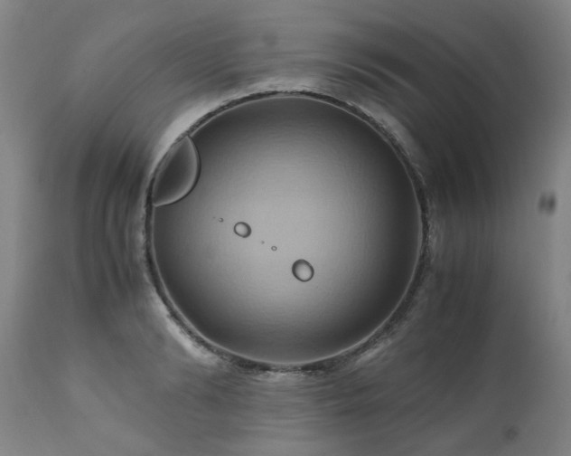 X0000110970894200906191332