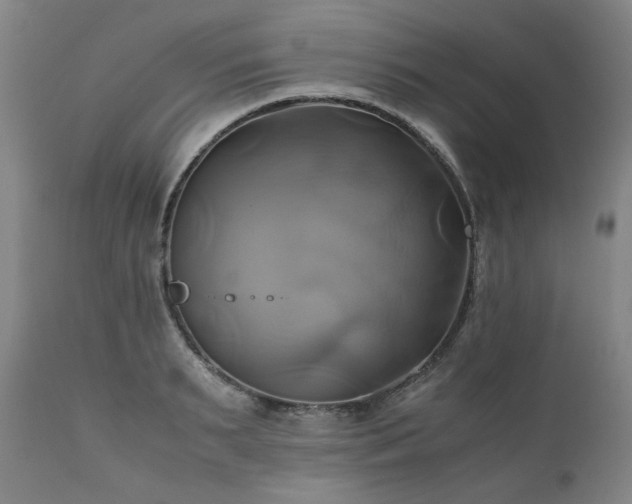 X0000110970895200906191332