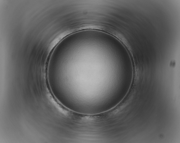 X0000110970898200906191332