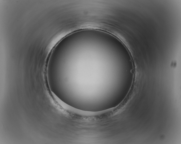 X0000110970901200906191332