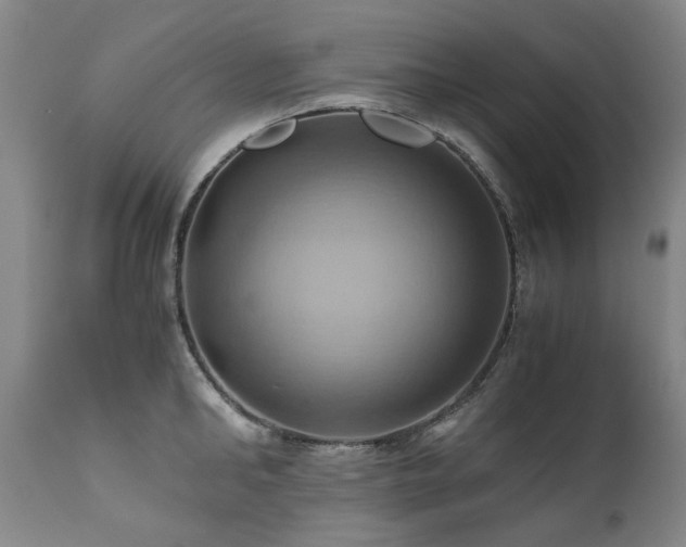 X0000110970902200906191332