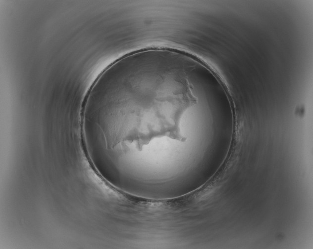 X0000110970903200906191332