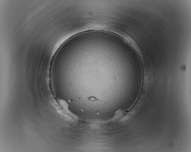 X0000110970904200906191332