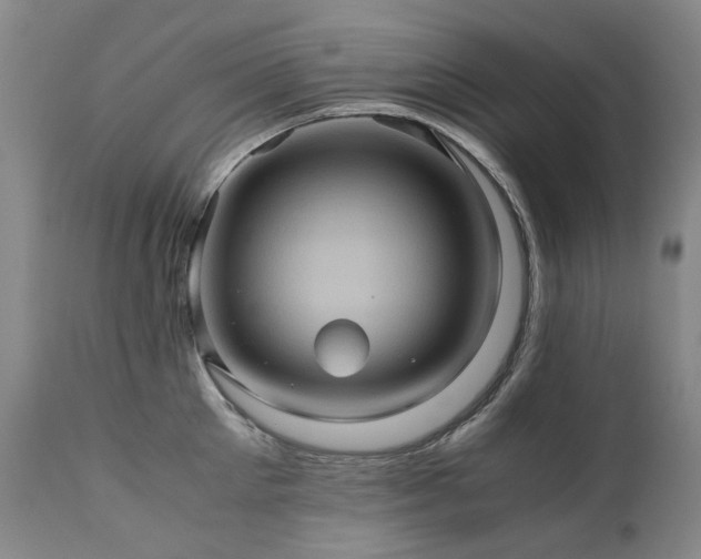 X0000110970905200906191332