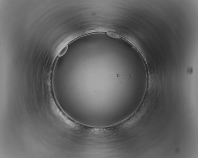 X0000110970906200906191332