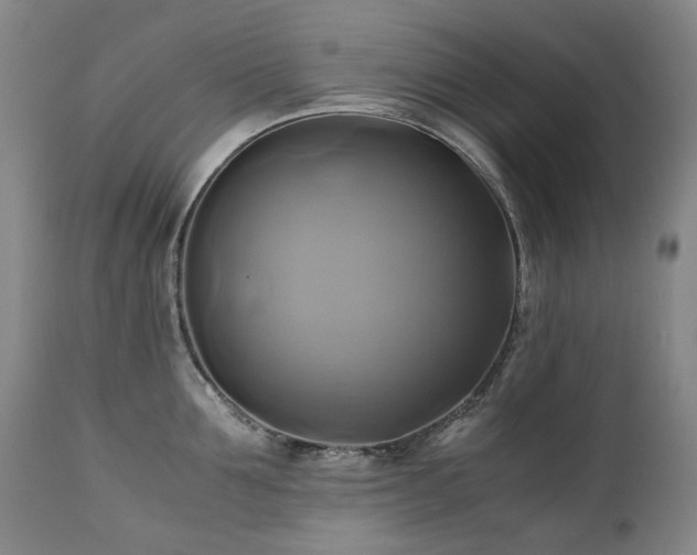 X0000110970907200906191332