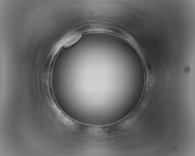 X0000110970909200906191332