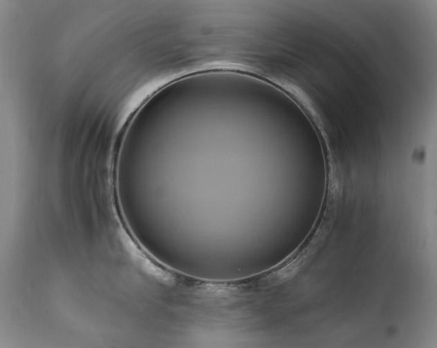 X0000110970910200906191332