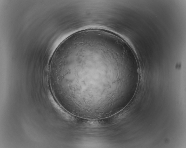 X0000110970911200906191332