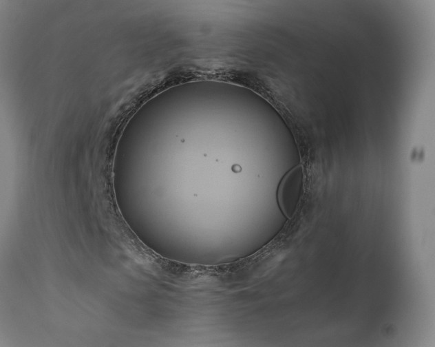 X0000110970913200906191331