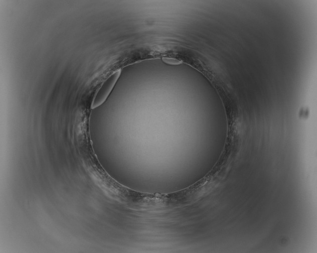 X0000110970914200906191331