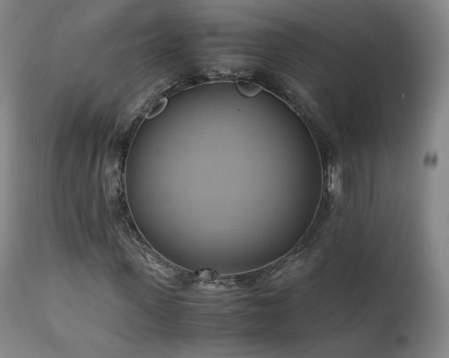 X0000110970915200906191331