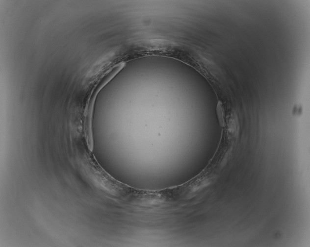 X0000110970916200906191331