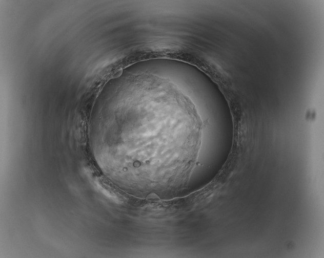 X0000110970917200906191331