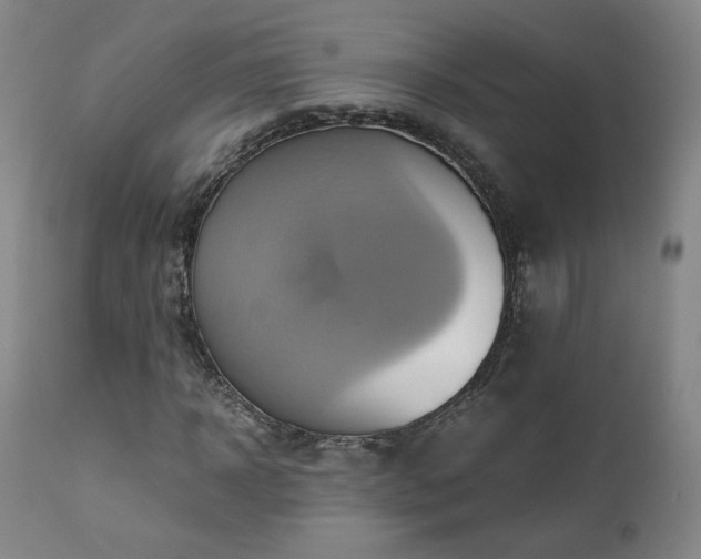 X0000110970918200906191331