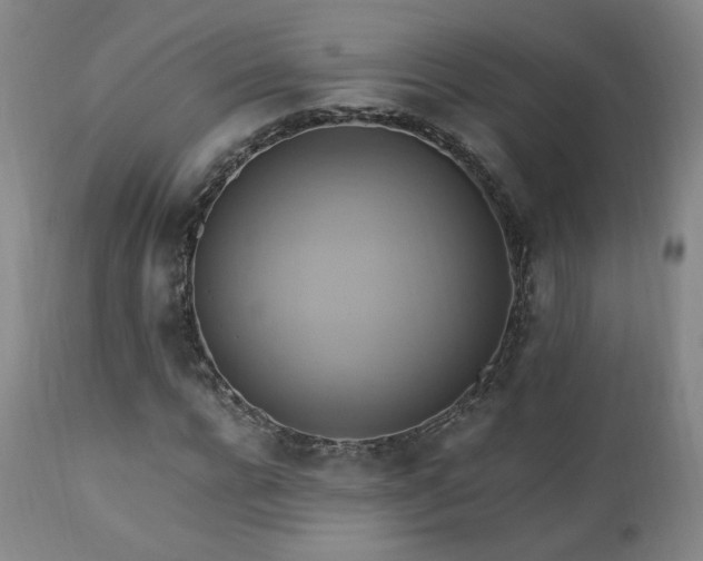 X0000110970920200906191331