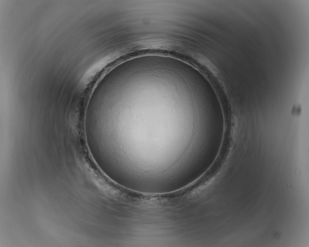 X0000110970922200906191332